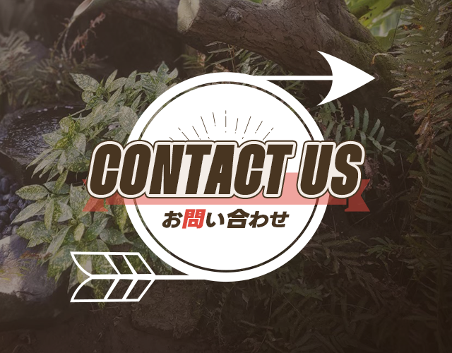 sp_bnr_contact